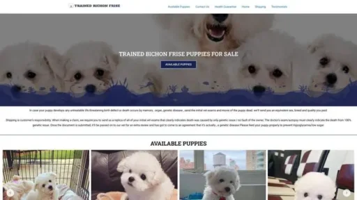 Screenshot of