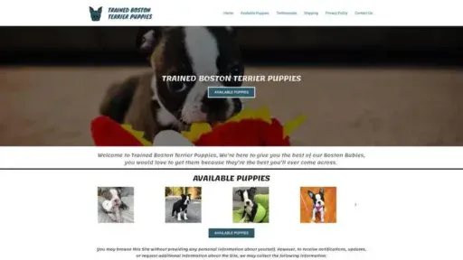 Screenshot of