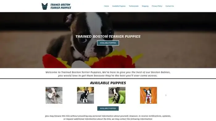 Screenshot of