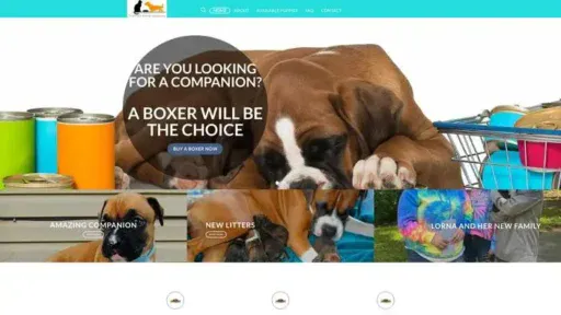 Screenshot of