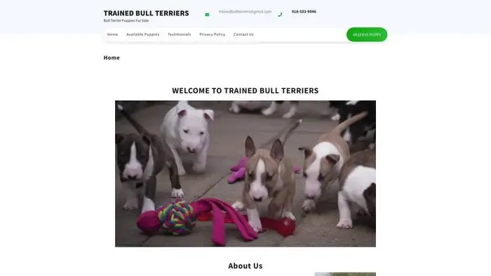 Screenshot of