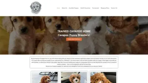 Screenshot of