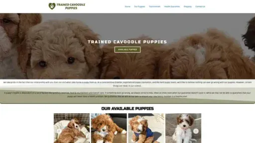 Screenshot of