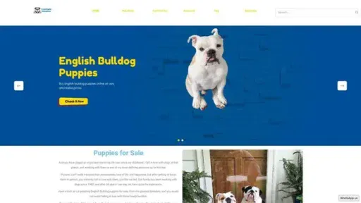 Screenshot of