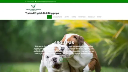 Screenshot of