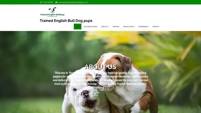 Screenshot of