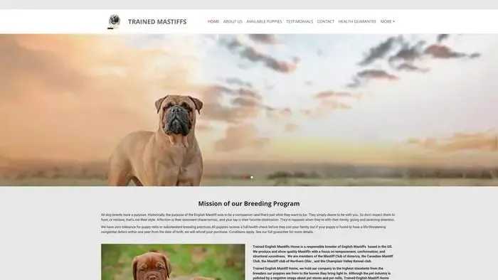 Screenshot of