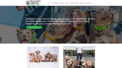 Screenshot of