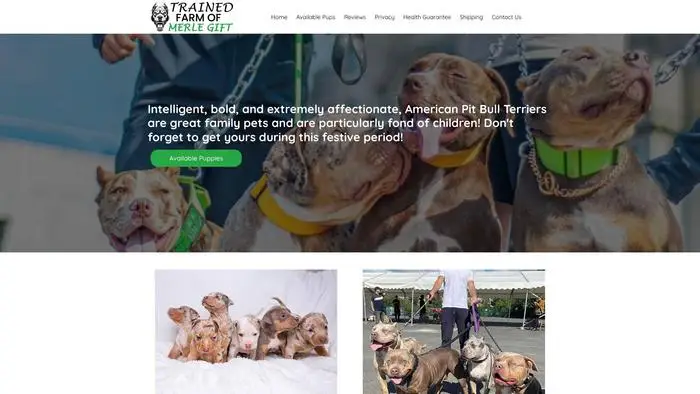 Screenshot of