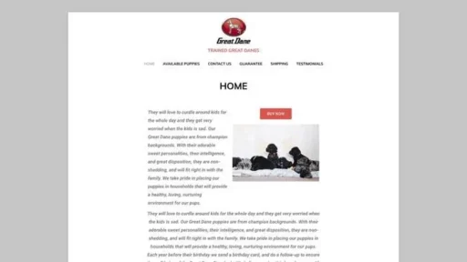 Screenshot of