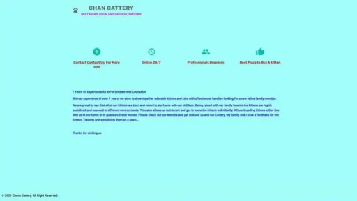 Screenshot of