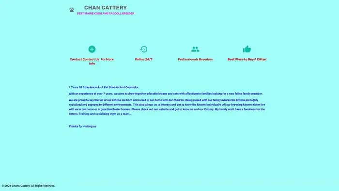 Screenshot of
