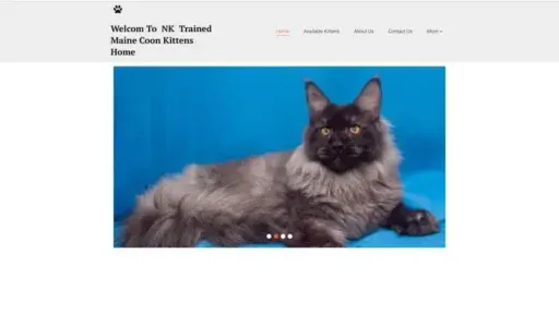 Screenshot of