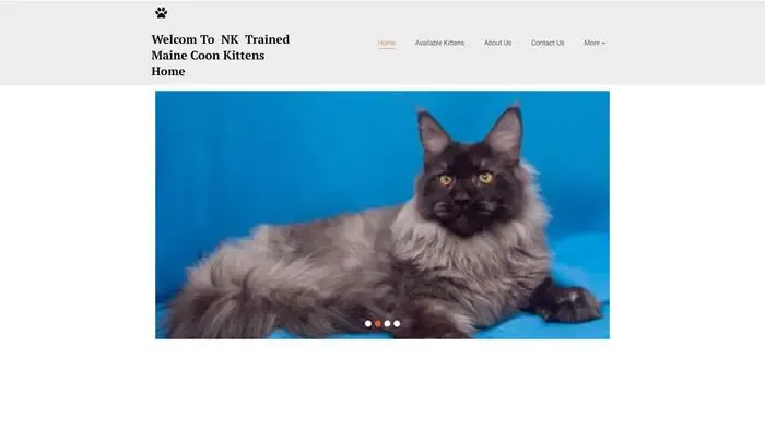 Screenshot of
