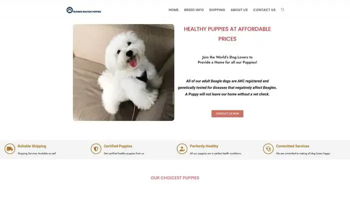 Screenshot of