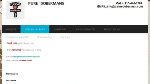 Screenshot of
