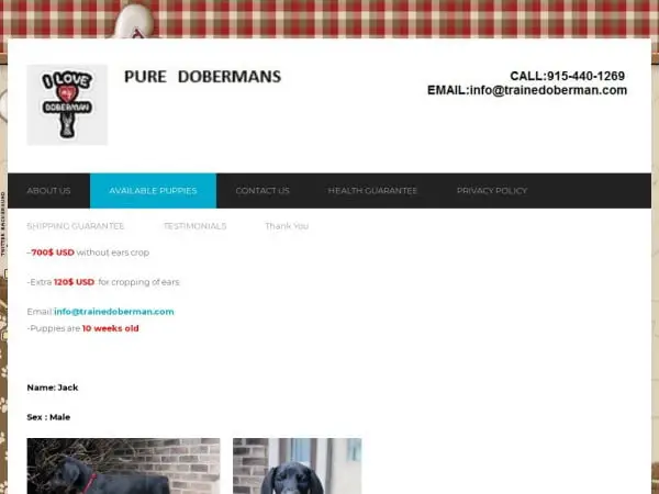 Screenshot of