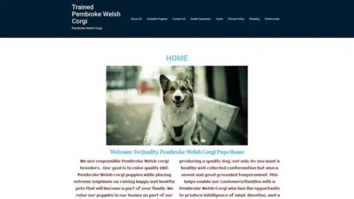 Screenshot of