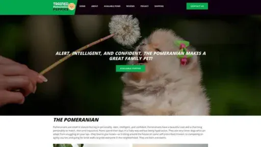 Screenshot of