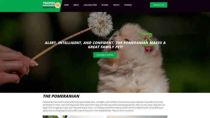 Screenshot of