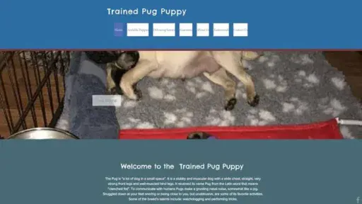 Screenshot of