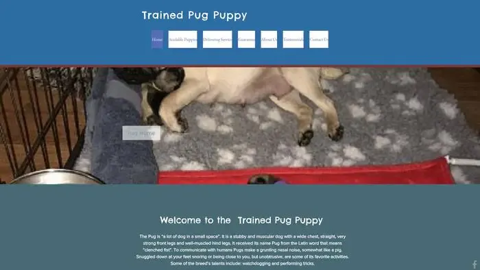 Screenshot of