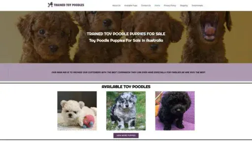 Screenshot of