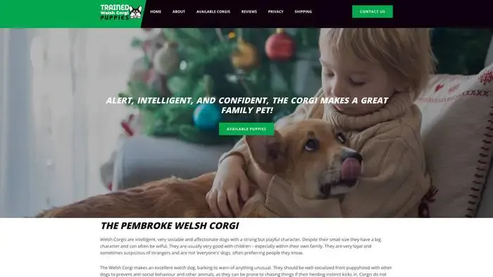 Screenshot of