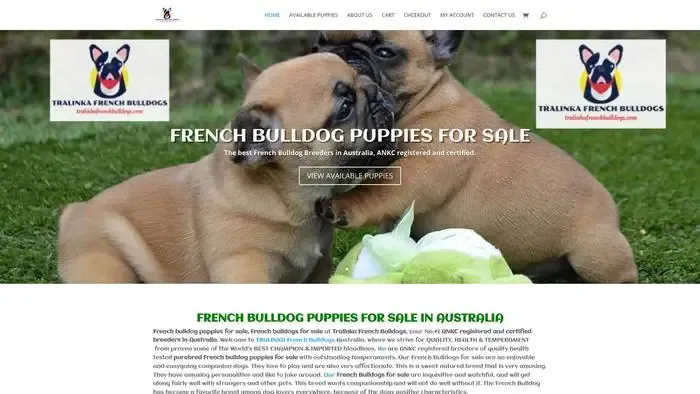 Screenshot of
