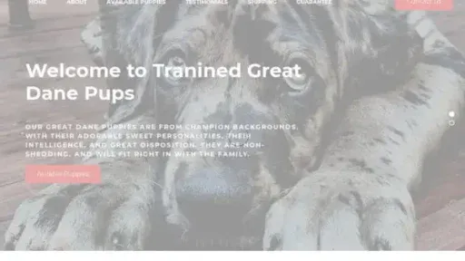 Screenshot of