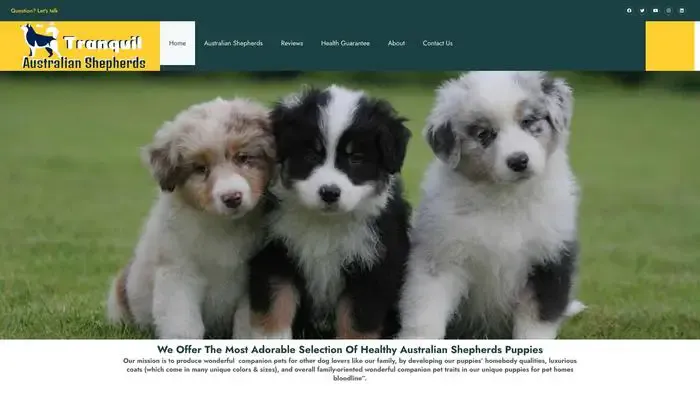 Screenshot of