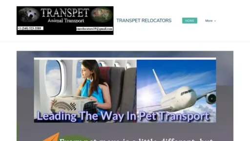 Screenshot of|