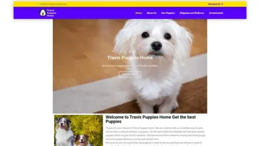 Screenshot of