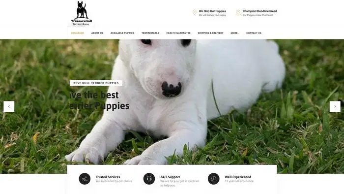 Screenshot of