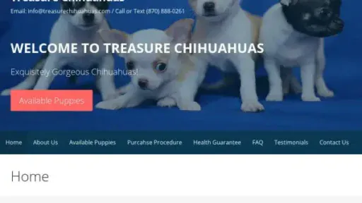 Screenshot of