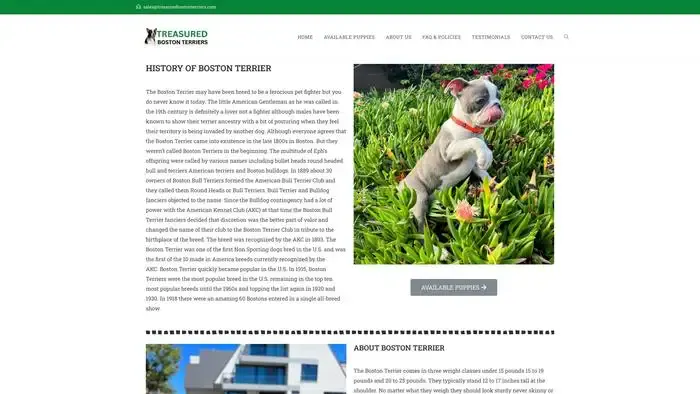 Screenshot of