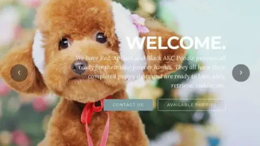 Screenshot of