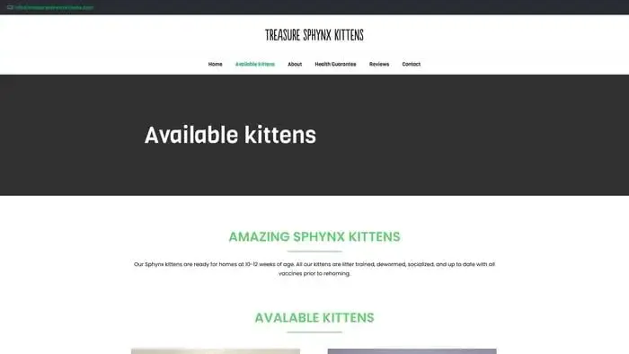 Screenshot of