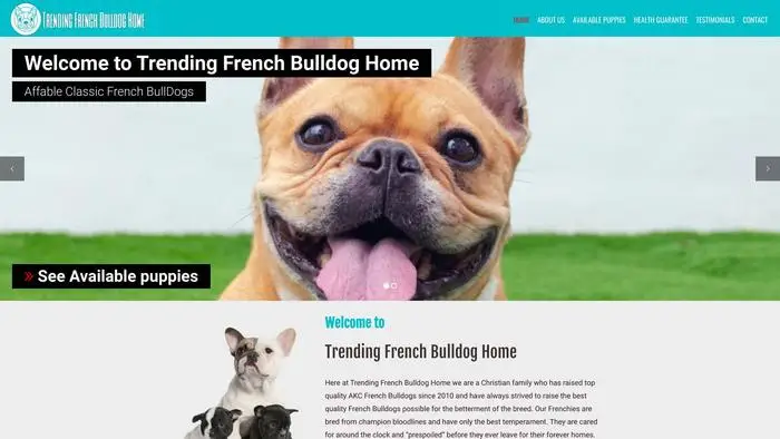 Screenshot of