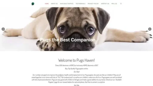 Screenshot of