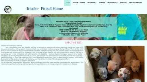 Screenshot of