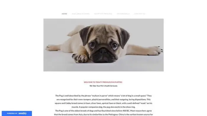 Screenshot of