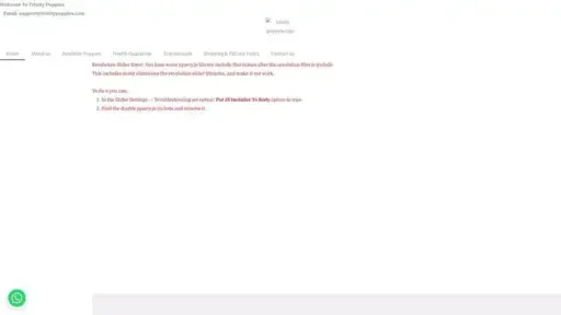 Screenshot of