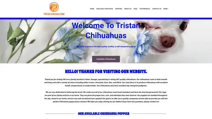 Screenshot of
