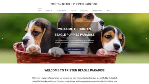 Screenshot of