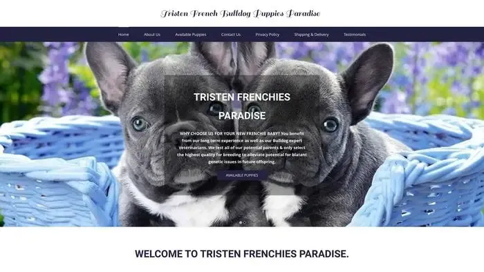 Screenshot of