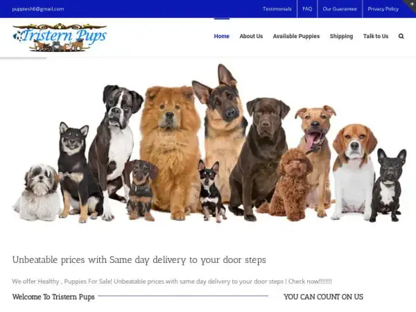 Screenshot of