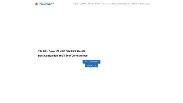 Screenshot of