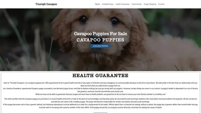 Screenshot of