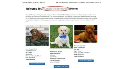 Screenshot of
